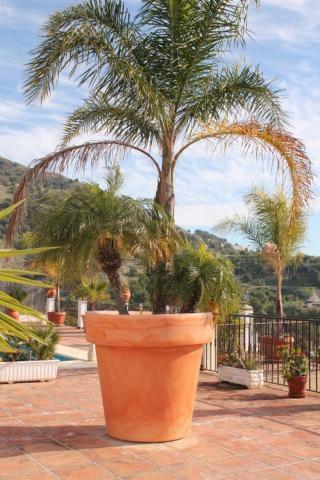 Villa El Nido Nerja Dış mekan fotoğraf